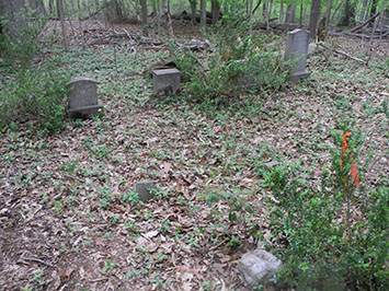 Sammons family cemetery Charlottesville, VA. / photo: E.L. Fly