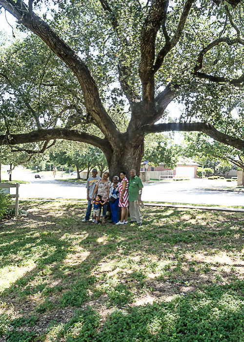 Griffin family descendants at heritage live oak